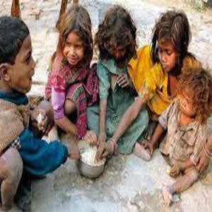 Food & Hunger
